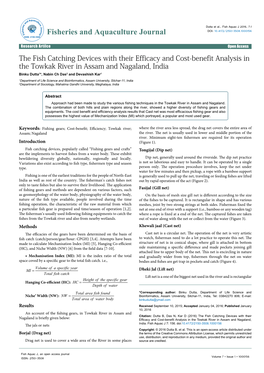 The Fish Catching Devices with Their Efficacy and Cost-Benefit Analysis