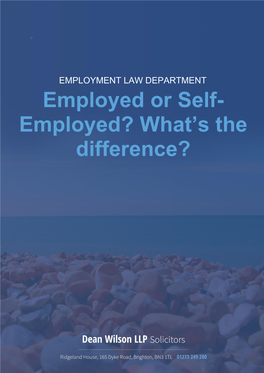 Employed Or Self- Employed? What’S the Difference?