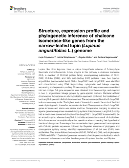 (Lupinus Angustifolius L.) Genome