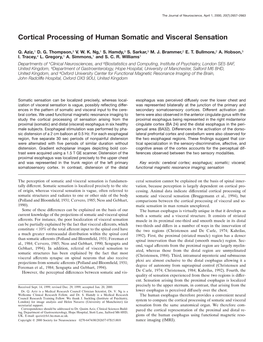 Cortical Processing of Human Somatic and Visceral Sensation