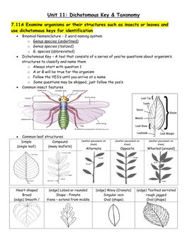 Unit 11: Dichotomous Key & Taxonomy