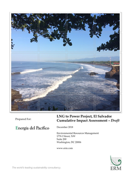 EEPGL Environmental Impact Assessment