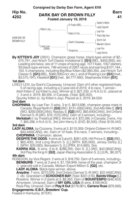 DARK BAY OR BROWN FILLY Barn 41 Hip No. 4202