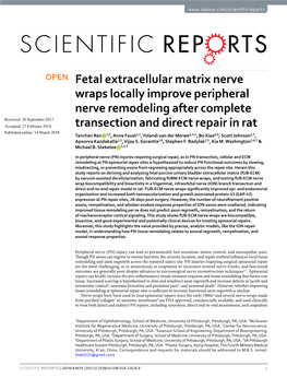 Fetal Extracellular Matrix Nerve Wraps Locally Improve Peripheral Nerve