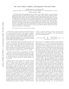 Dry Active Matter Exhibits a Self-Organized'cross Sea'phase