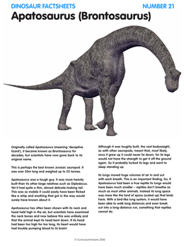 Apatosaurus (Brontosaurus)