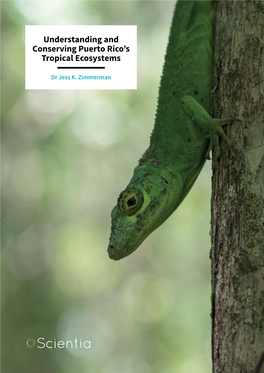 Understanding and Conserving Puerto Rico's Tropical Ecosystems