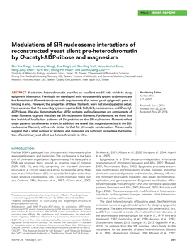 Modulations of SIR-Nucleosome Interactions of Reconstructed Yeast Silent Pre-Heterochromatin by O-Acetyl-ADP-Ribose and Magnesium