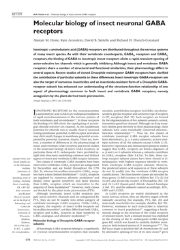 Molecular Biology of Insect Neuronal GABA Receptors Molecular Biology of Insect Neuronal GABA Receptors