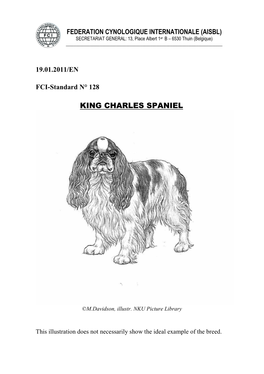 King Charles Spaniel