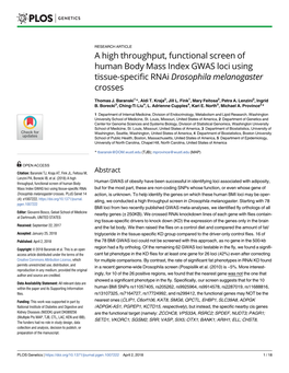 A High Throughput, Functional Screen of Human Body Mass Index GWAS Loci Using Tissue-Specific Rnai Drosophila Melanogaster Crosses