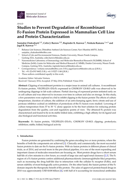 Studies to Prevent Degradation of Recombinant Fc-Fusion Protein Expressed in Mammalian Cell Line and Protein Characterization