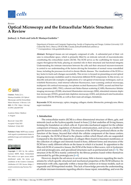 Optical Microscopy and the Extracellular Matrix Structure: a Review