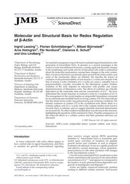Molecular and Structural Basis for Redox Regulation of Β-Actin