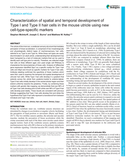 Characterization of Spatial and Temporal Development of Type I And