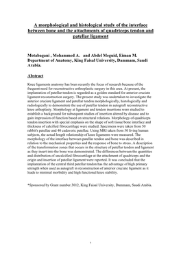 A Morphological and Histological Study of the Interface Between Bone and the Attachments of Quadriceps Tendon and Patellar Ligament