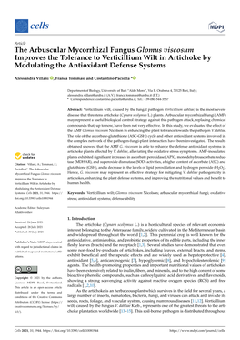 The Arbuscular Mycorrhizal Fungus Glomus Viscosum Improves the Tolerance to Verticillium Wilt in Artichoke by Modulating the Antioxidant Defense Systems