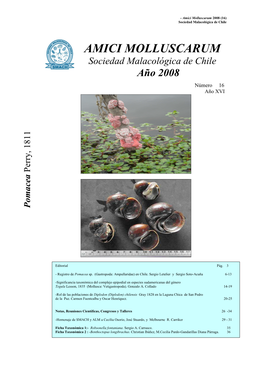 Amici Molluscarum 2008 (16) Sociedad Malacológica De Chile