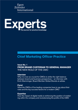 Chief Marketing Officer Practice