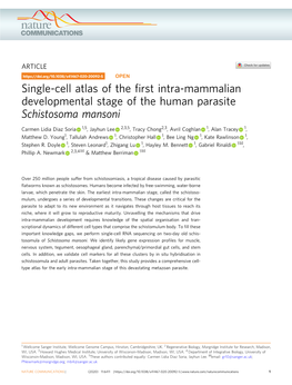 Single-Cell Atlas of the First Intra-Mammalian