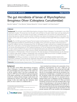 The Gut Microbiota of Larvae of Rhynchophorus Ferrugineus Oliver