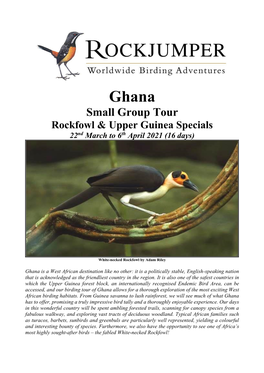 Ghana Small Group Tour Rockfowl & Upper Guinea Specials 22Nd March to 6Th April 2021 (16 Days)