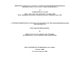 IDENTIFICATION of a NOVEL CANDIDATE RECEPTOR for HUMAN RESPIRATORY SYNCYTL4L VIRUS SUBGROUP a by FARNOOSH TAYYARI M.Sc., The