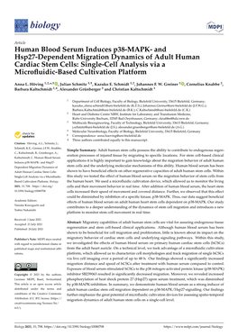 Human Blood Serum Induces P38-MAPK- and Hsp27