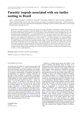 Parasitic Isopods Associated with Sea Turtles Nesting in Brazil Jose’ C