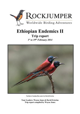 Ethiopian Endemics II Trip Report