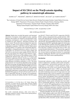 Impact of SLC20A1 on the Wnt/Β‑Catenin Signaling Pathway in Somatotroph Adenomas