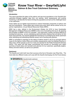 Know Your River – Gwyrfai/Llyfni Salmon & Sea Trout Catchment Summary