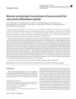 Molecular and Phenotypic Characterization of Human Amniotic Fluid Cells and Their Differentiation Potential