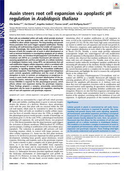 Auxin Steers Root Cell Expansion Via Apoplastic Ph Regulation in Arabidopsis Thaliana