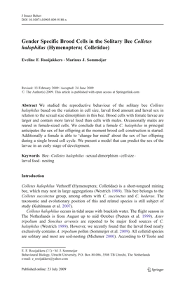 Gender Specific Brood Cells in the Solitary Bee Colletes Halophilus (Hymenoptera; Colletidae)