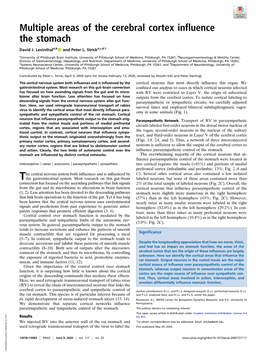 Multiple Areas of the Cerebral Cortex Influence the Stomach