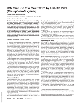 Defensive Use of a Fecal Thatch by a Beetle Larva (Hemisphaerota Cyanea)