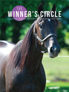 The Ultimate Guide for the Prospective Standardbred Horse Owner
