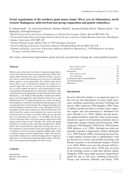 Social Organisation of the Northern Giant Mouse Lemur Mirza Zaza In