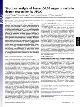 Structural Analysis of Human Cdc20 Supports Multisite Degron Recognition by APC/C