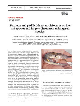 Sturgeon and Paddlefish Research Focuses on Low Risk Species and Largely Disregards Endangered Species