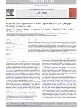 Analysis of MC4R Polymorphism in Italian Large White and Italian Duroc Pigs: Association with Carcass Traits