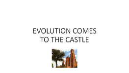 Evolution Comes to the Castle I