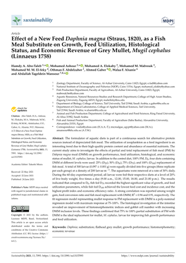 Effect of a New Feed Daphnia Magna