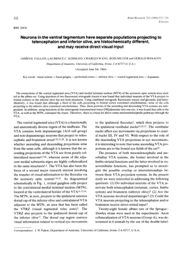 Neurons in the Ventral Tegmentum Have Separate Populations