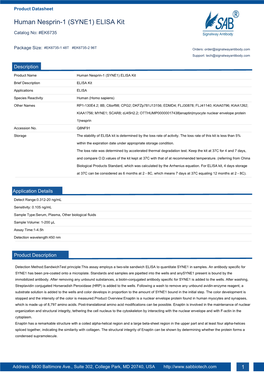 Human Nesprin-1 (SYNE1) ELISA Kit