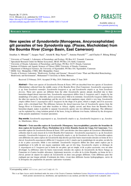 Monogenea, Ancyrocephalidae) Gill Parasites of Two Synodontis Spp