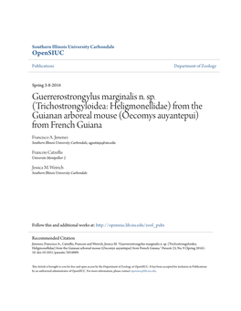 Oecomys Auyantepui) from French Guiana Francisco A