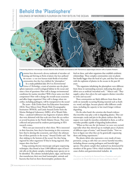 Plastisphere’ COLONIES of MICROBES FLOURISH on TINY BITS in the OCEAN by Lonny Lippsett