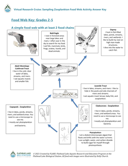 Food Web Activity Answer Key